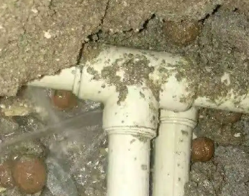 五大连池测漏水多少钱