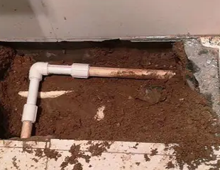 五大连池测漏水哪家好