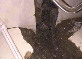 五大连池卫生间测漏水哪家好