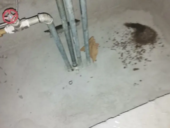 五大连池卫生间测漏水价格明细